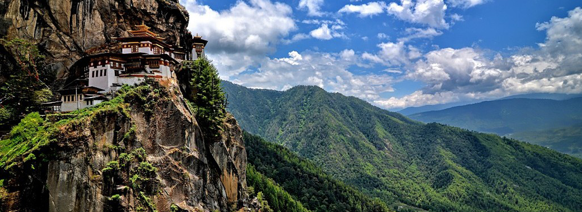 Tiger Nest